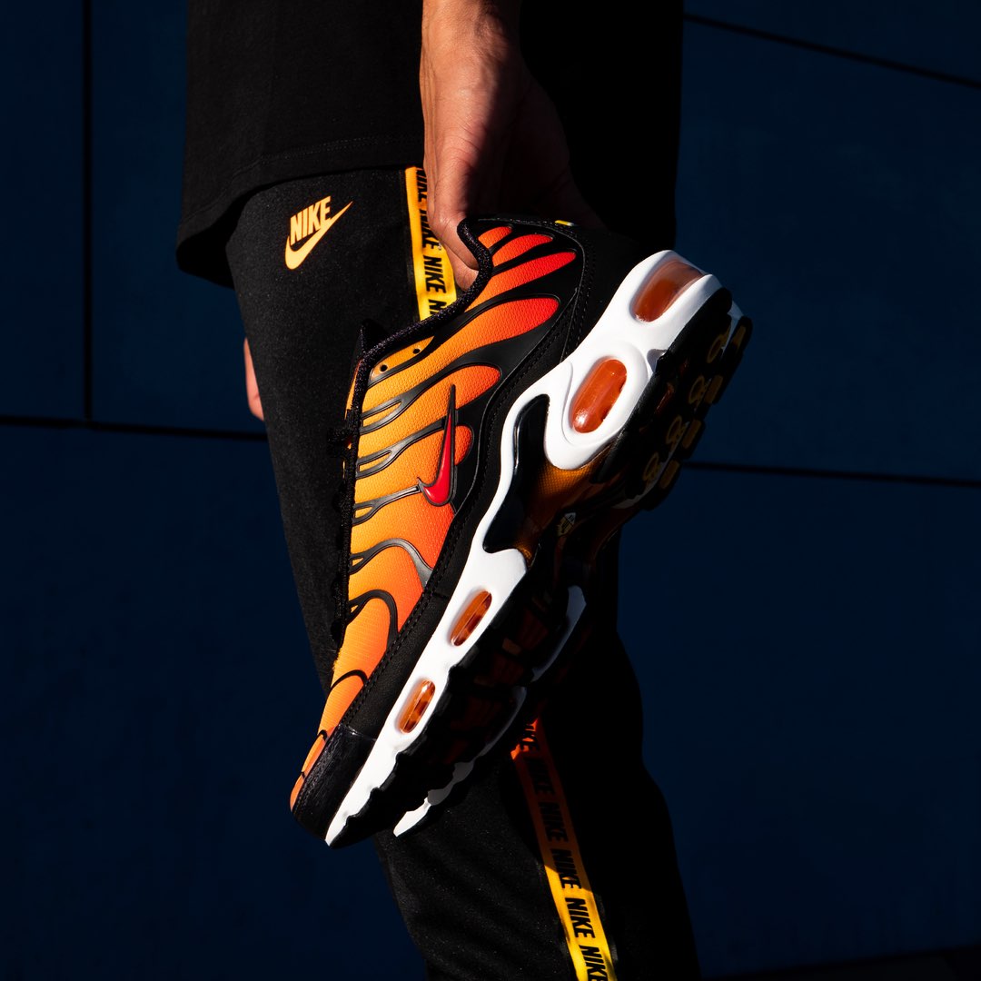 Nike Air Max Plus
«  Tiger »